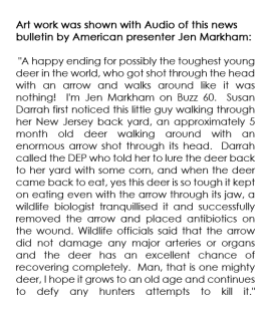 Deer with arrow through head story